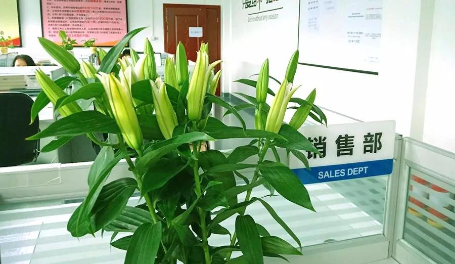 濃情七夕，最美祝福！